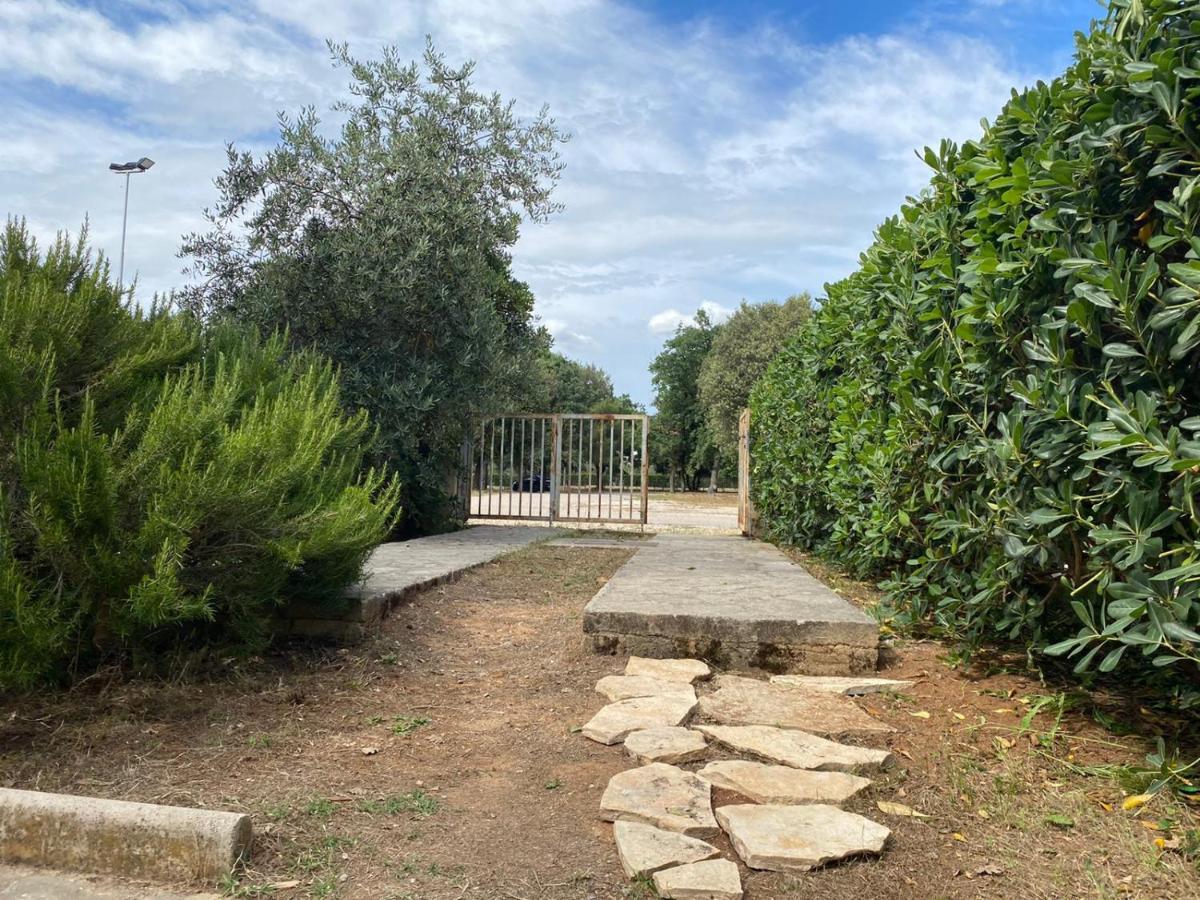 Apartment Soline Biograd Na Moru Exterior foto